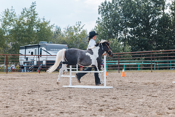 DAY4HORSESHOW68