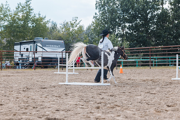 DAY4HORSESHOW69