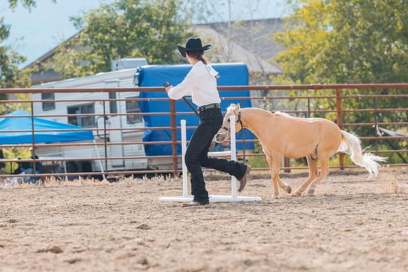 DAY4HORSESHOW70