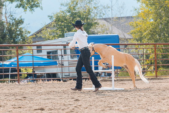 DAY4HORSESHOW71