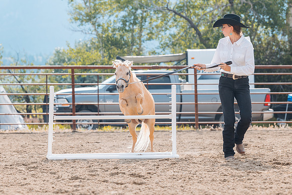 DAY4HORSESHOW74