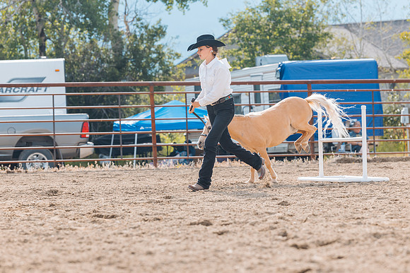 DAY4HORSESHOW73