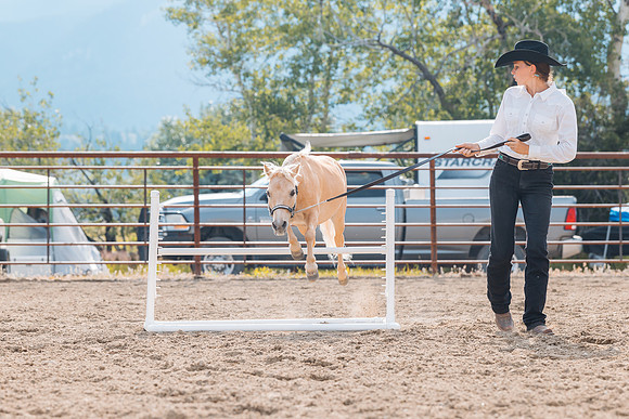 DAY4HORSESHOW75