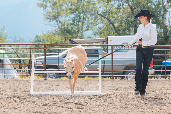 DAY4HORSESHOW76