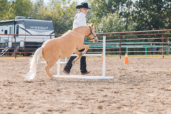 DAY4HORSESHOW77