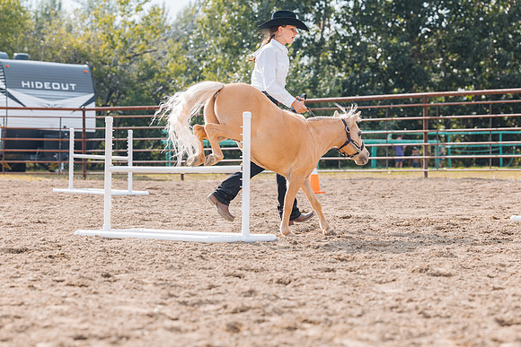 DAY4HORSESHOW79