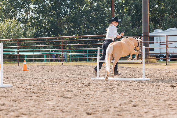 DAY4HORSESHOW80