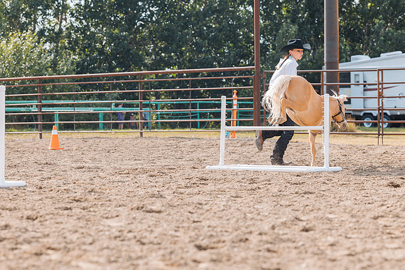 DAY4HORSESHOW81