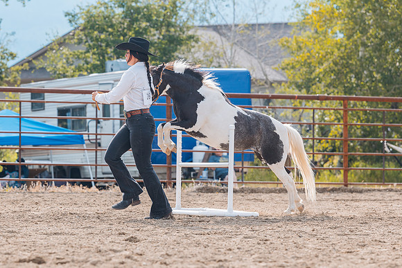 DAY4HORSESHOW82