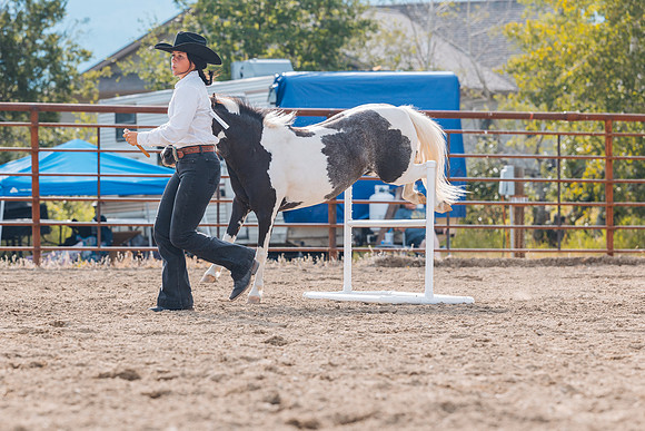 DAY4HORSESHOW83