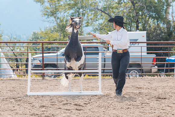 DAY4HORSESHOW84