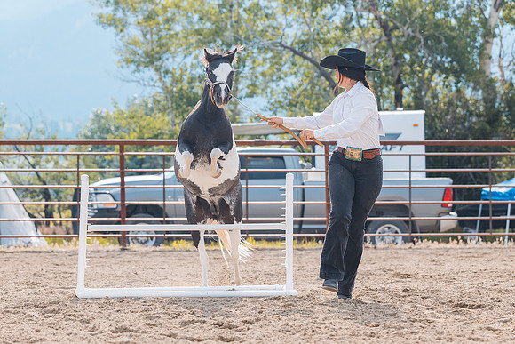 DAY4HORSESHOW85