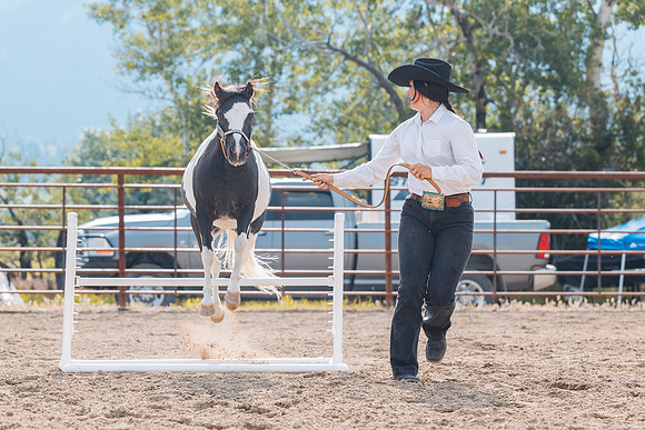 DAY4HORSESHOW86