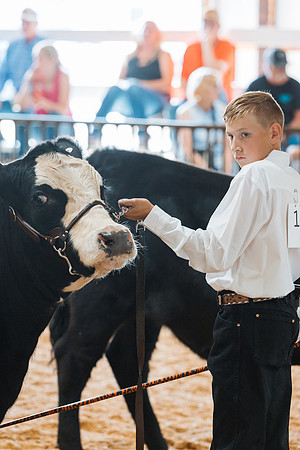 DAY4MARKETBEEF2