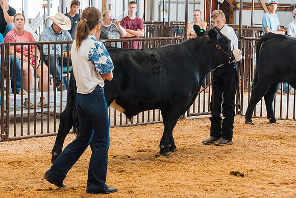 DAY4MARKETBEEF15