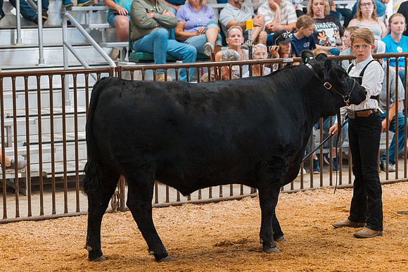 DAY4MARKETBEEF14