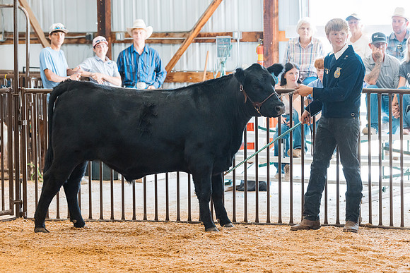 DAY4MARKETBEEF17