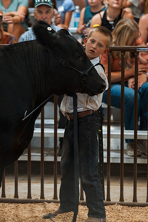 DAY4MARKETBEEF19