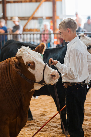 DAY4MARKETBEEF54