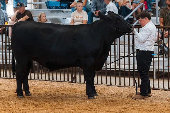 DAY4MARKETBEEF87