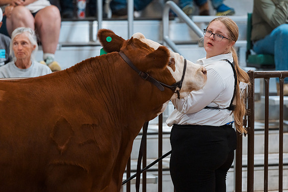 DAY4MARKETBEEF88