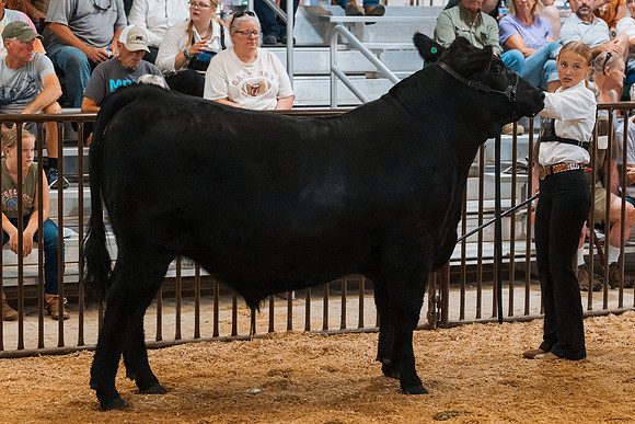 DAY4MARKETBEEF109