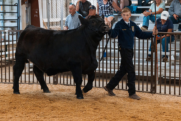 DAY4MARKETBEEF116