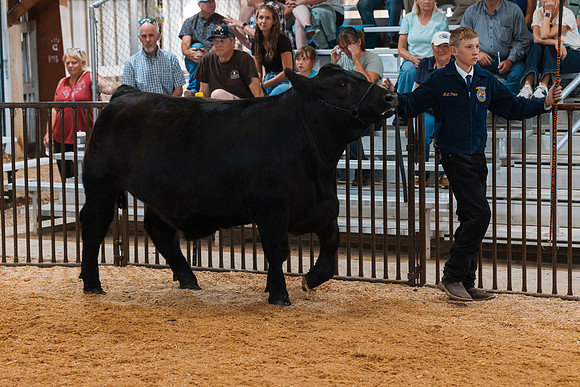 DAY4MARKETBEEF125