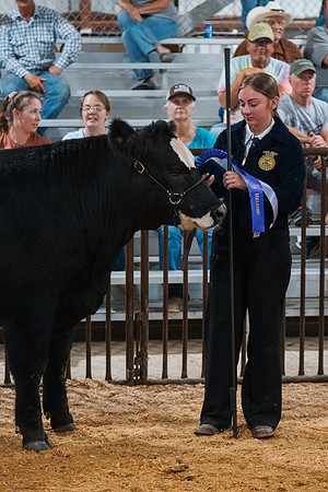 DAY4MARKETBEEF142