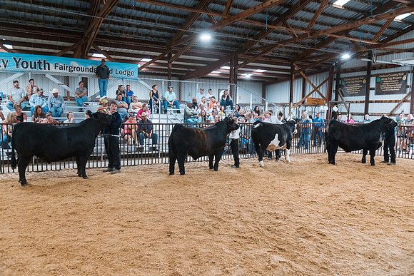 DAY4MARKETBEEF144