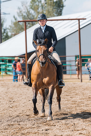 DAY4HORSESHOW13