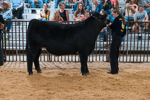 DAY4MARKETBEEF138