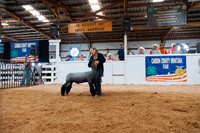 DAY6AUCTION7