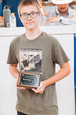 DAY6CARCASSGAINAWARDS14