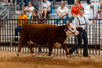 DAY5BEEFSHOWMANSHIP2