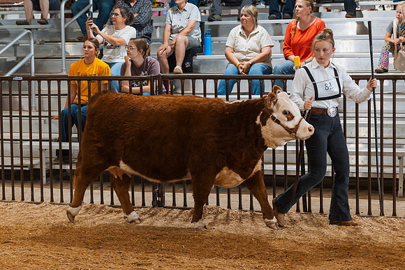 DAY5BEEFSHOWMANSHIP2