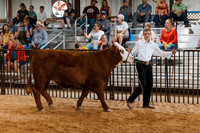 DAY5BEEFSHOWMANSHIP1