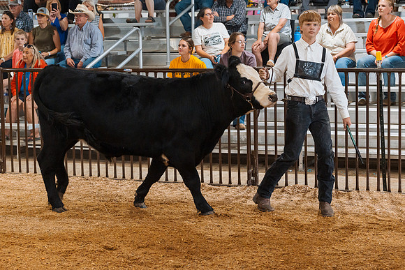 DAY5BEEFSHOWMANSHIP5