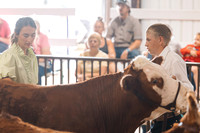 DAY5BEEFSHOWMANSHIP6
