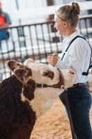 DAY5BEEFSHOWMANSHIP7