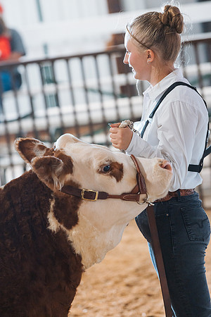 DAY5BEEFSHOWMANSHIP7