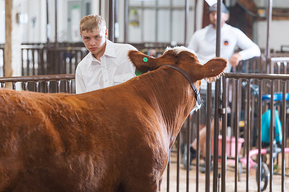 DAY5BEEFSHOWMANSHIP10