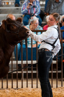 DAY5BEEFSHOWMANSHIP11