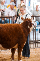 DAY5BEEFSHOWMANSHIP12