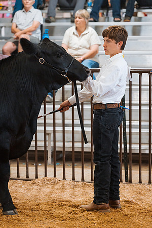 DAY5BEEFSHOWMANSHIP13