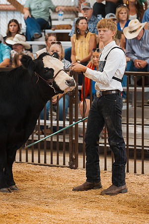 DAY5BEEFSHOWMANSHIP14