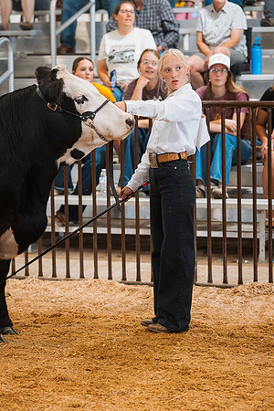 DAY5BEEFSHOWMANSHIP16