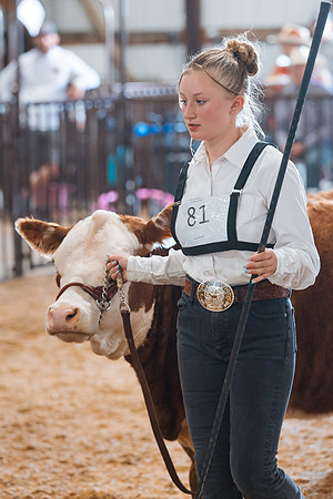 DAY5BEEFSHOWMANSHIP18