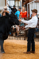 DAY5BEEFSHOWMANSHIP17