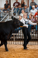 DAY5BEEFSHOWMANSHIP19